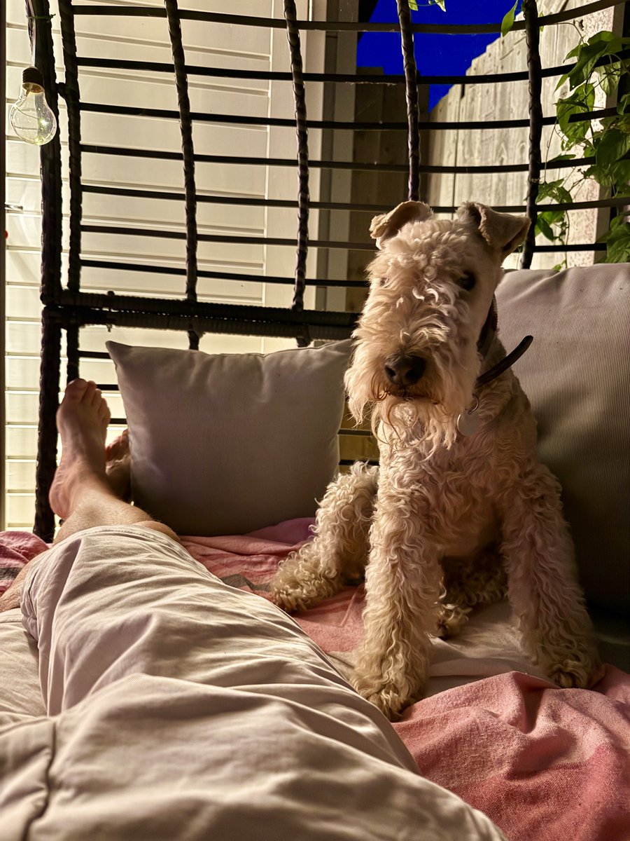 After much hard work I’ve got the patient to relax in the garden …… we maybe sleeping outside tonight ❤️