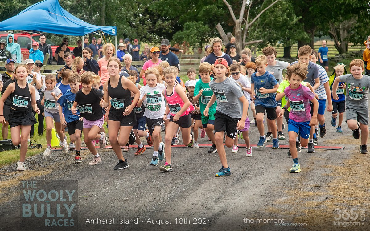 The WOOLY BULLY RACES are fast approaching. August 17th on Amherst Island. Choose 5K or 10K. 10K is part of the KRRA Race Series. There's a Kids 1K Race, too.

Earn the WATERSIDE SERIES medal: run the 10K (if you've run Napanee &amp; Wolfe Island).

Register: krra.org/events/wooly-b…