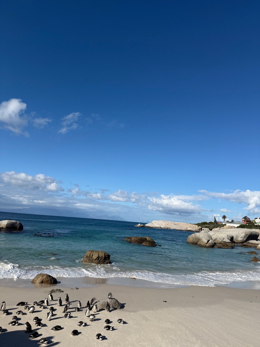 NSB Sport (@nsb_sport) on Twitter photo Day 6 Completed β
Incredible views at Cape Point and the Cape of Good Hope β°οΈ
Visited Boulders Beach to see the African penguin colony up close π§
<a href="/gbsportstours/">GB Sports Tours</a>
#SA2025 πΏπ¦ Day 6 Completed β
Incredible views at Cape Point and the Cape of Good Hope β°οΈ
Visited Boulders Beach to see the African penguin colony up close π§
<a href="/gbsportstours/">GB Sports Tours</a>
#SA2025 πΏπ¦