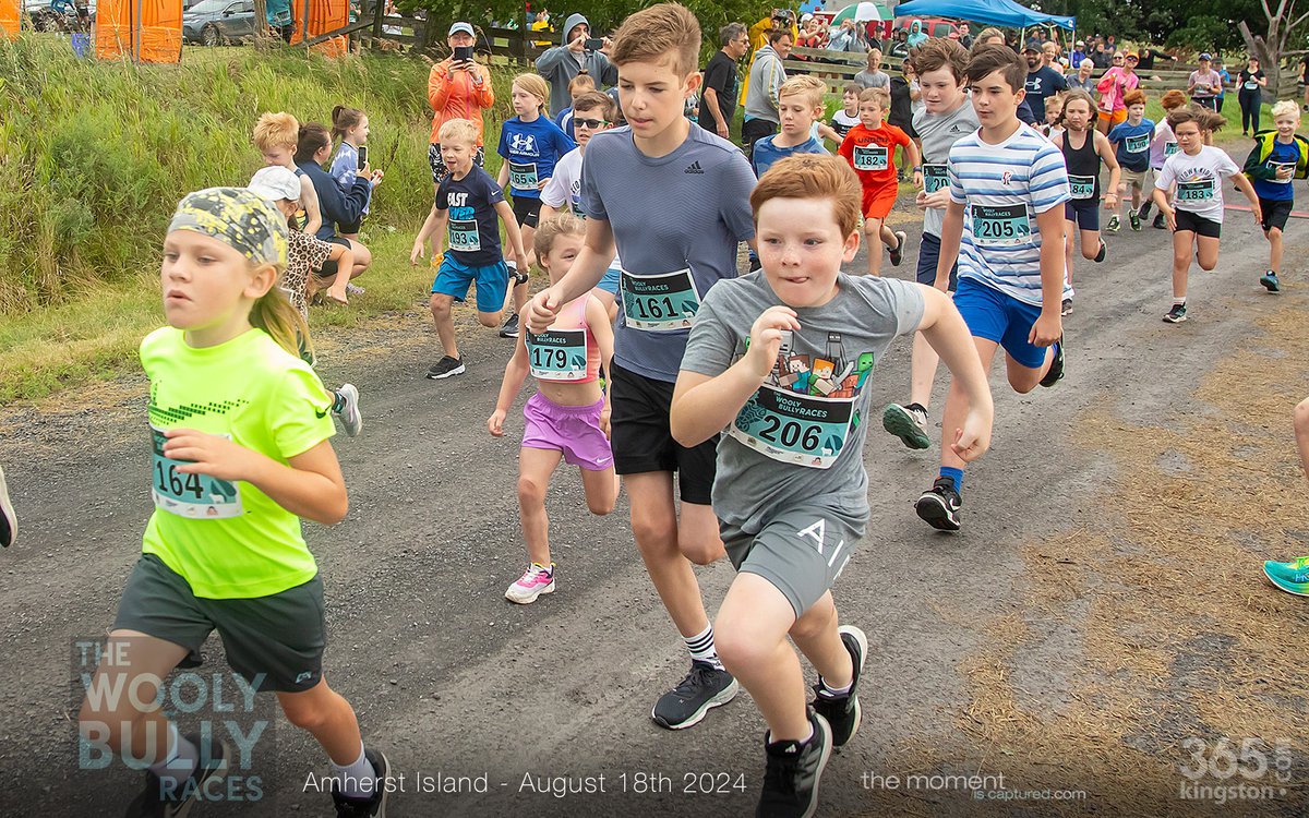 The WOOLY BULLY RACES are fast approaching. August 17th on Amherst Island. Choose 5K or 10K. 10K is part of the KRRA Race Series. There's a Kids 1K Race, too.

Earn the WATERSIDE SERIES medal: run the 10K (if you've run Napanee &amp; Wolfe Island).

Register: krra.org/events/wooly-b…