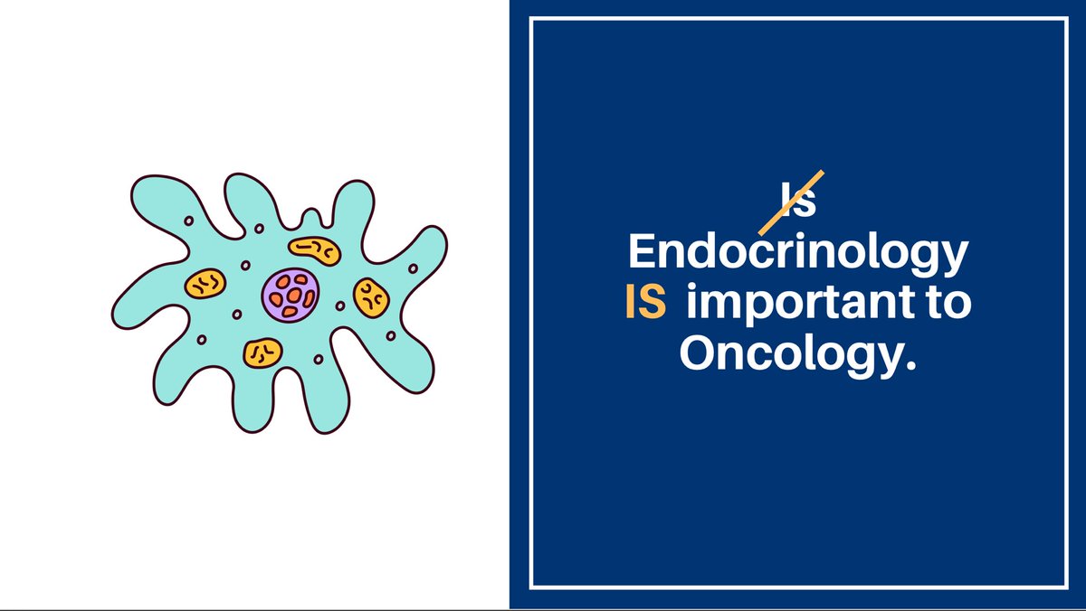 Afreen Shariff, MD (@afreenshariffmd) on Twitter photo Thrilled to speak at #ENDO2025 on Complications of Novel Non-Immunotherapy Cancer Therapies Beyond ICI
🗓️ July 14, 3:30–4:15 pm
📍 Room 201.
Exploring endocrine toxicities of new cancer treatments. Join me! #OncoEndocrinology #CancerCare
<a href="/ASPIRE_CoP/">ASPIRE Community of Practice</a> <a href="/TheEndoSociety/">Endocrine Society</a> Thrilled to speak at #ENDO2025 on Complications of Novel Non-Immunotherapy Cancer Therapies Beyond ICI
🗓️ July 14, 3:30–4:15 pm
📍 Room 201.
Exploring endocrine toxicities of new cancer treatments. Join me! #OncoEndocrinology #CancerCare
<a href="/ASPIRE_CoP/">ASPIRE Community of Practice</a> <a href="/TheEndoSociety/">Endocrine Society</a>