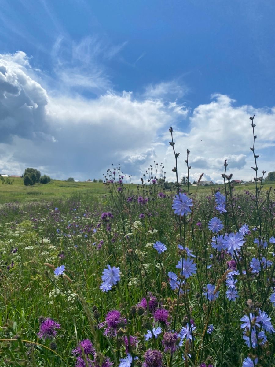 Өглөөний мэнд!