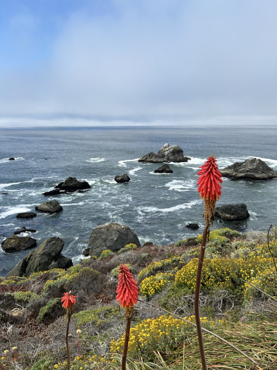 QWAKpots 🦆 tweet media