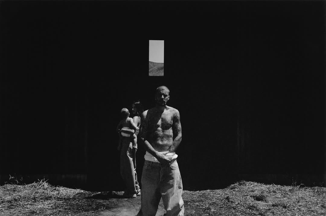 emma ⟢ #BULLYSZN tweet media