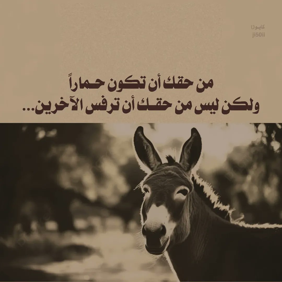 النسر العربي (@mslmlktyry84623) on Twitter photo <a href="/Lawmohyemen/">محمد المسوري</a> اسمع يا مسوري خذ هذا المثل 👇 من حقك ان تكون حمارا ولكن ليس من حقك ان ترفس الاخرين ‼️ من لا يحترم لا يحترم. <a href="/Lawmohyemen/">محمد المسوري</a> اسمع يا مسوري خذ هذا المثل 👇 من حقك ان تكون حمارا ولكن ليس من حقك ان ترفس الاخرين ‼️ من لا يحترم لا يحترم.