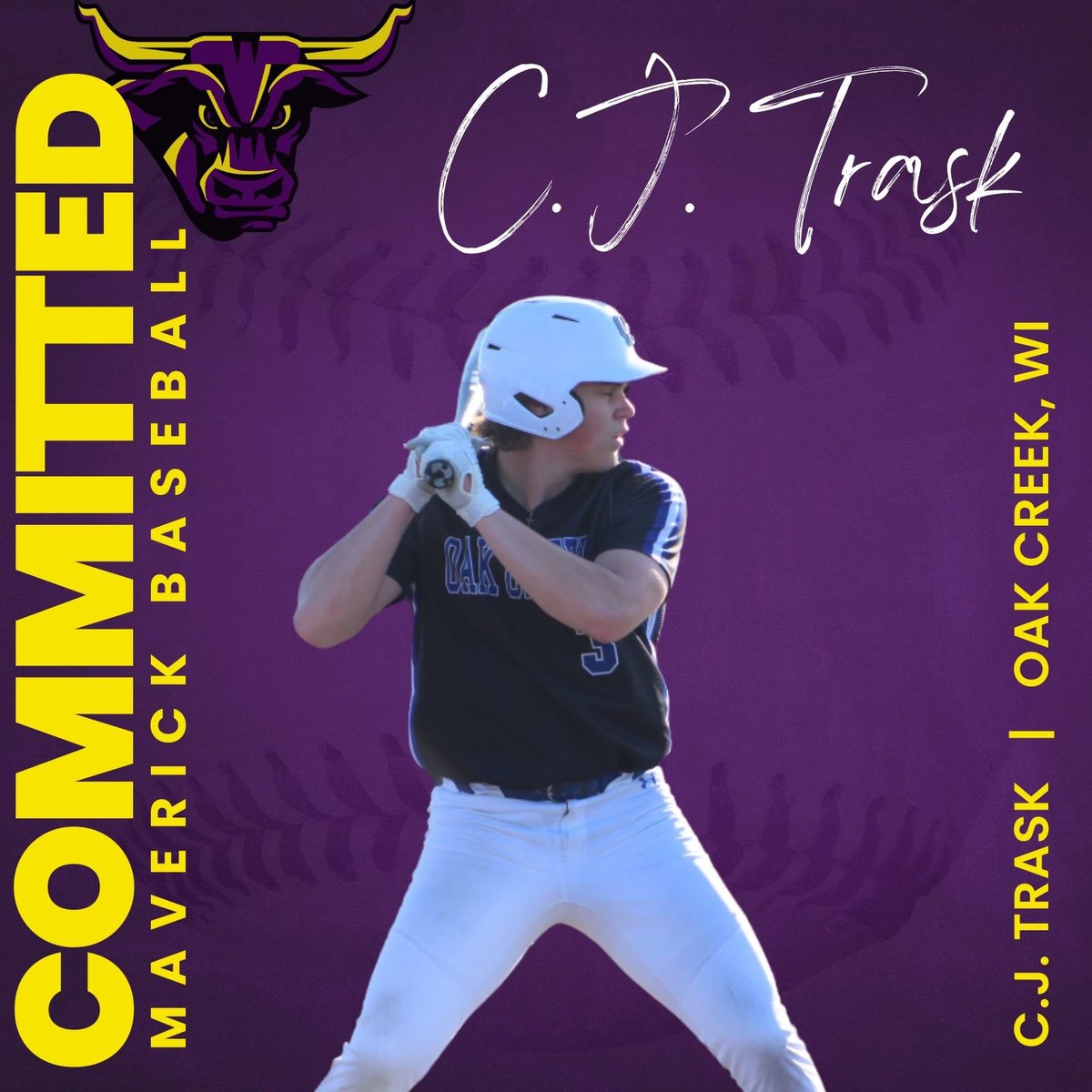 Next chapter <a href="/MinnStBaseball/">Minn State Baseball</a>