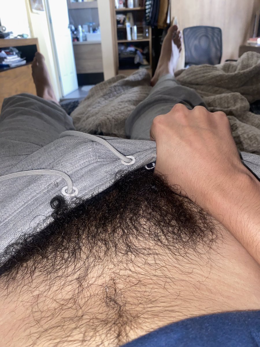 perrodenicotina's tweet photo. Bush getting a little bit wild. 🐺 https://t.co/XM07rfNcbR