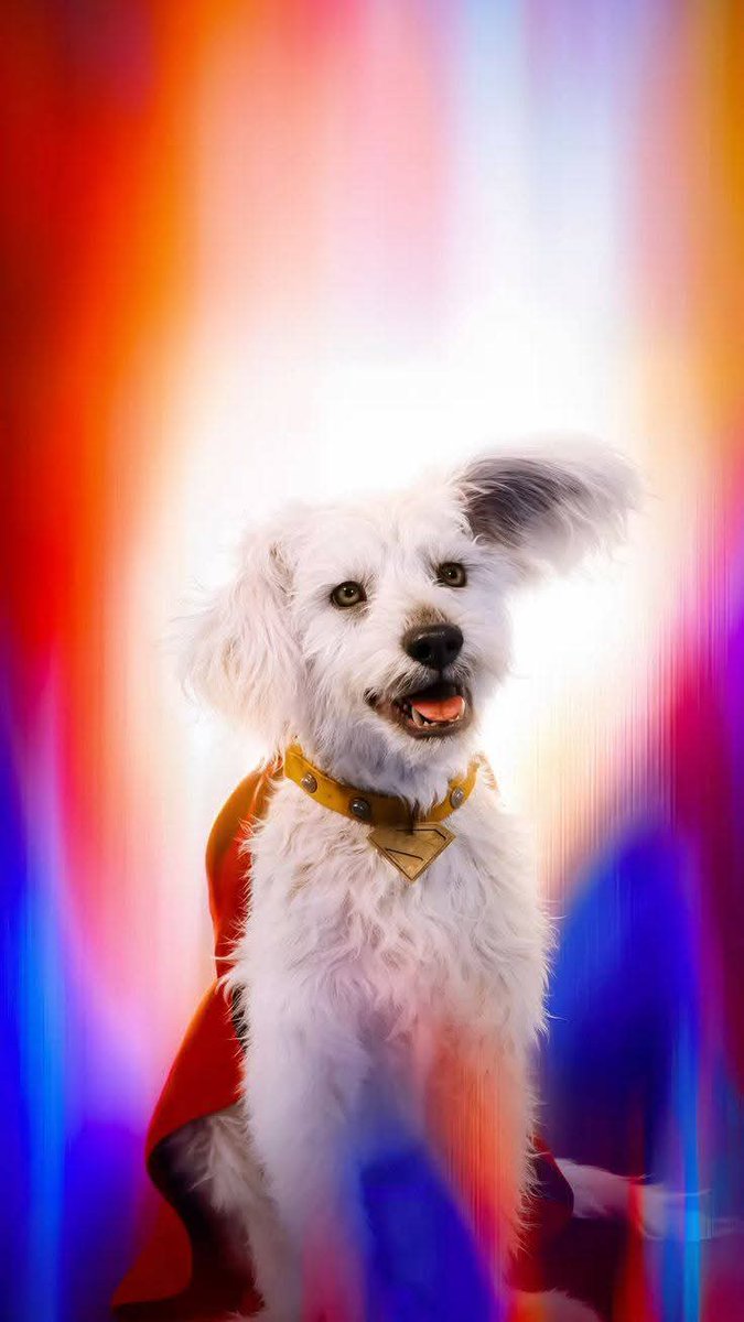 xaviciño tweet media