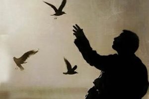 " الخالدي..الشمالي " tweet media