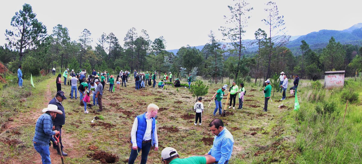 Jimmy Natale (@natale_jimmy) on Twitter photo Domingo con actitud 🔋___🏃🏻___en el bello #Chignahuapan📍, ahora sumando manos por el planeta. 🌎🤲🏻
Nos sumamos a una jornada de reforestación 🌳 acompañado de mis amigas, la Diputada Federal #VERDE <a href="/dipfatimacruz/">Fatima Cruz</a> y la Diputada Local #VERDE <a href="/KatyDiputada/">Katy Sánchez</a>. ✨
Gracias a nuestros Domingo con actitud 🔋___🏃🏻___en el bello #Chignahuapan📍, ahora sumando manos por el planeta. 🌎🤲🏻
Nos sumamos a una jornada de reforestación 🌳 acompañado de mis amigas, la Diputada Federal #VERDE <a href="/dipfatimacruz/">Fatima Cruz</a> y la Diputada Local #VERDE <a href="/KatyDiputada/">Katy Sánchez</a>. ✨
Gracias a nuestros