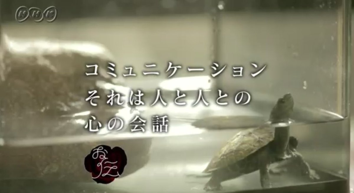 06ma9's tweet image. NHK Eテレ『お伝と伝じろう』
7月14日(月) 朝9:25〜9:35
第14回「表情にも言葉が」
「ありがとう」や「ごめんなさい」。話している内容は同じでも、言葉の抑揚や強弱、身振りや顔の表情によって、聞き手の印象が大きく変わることに気づかせる。
ゲスト:松木安太郎(サッカー解説者)
#お伝と伝じろう