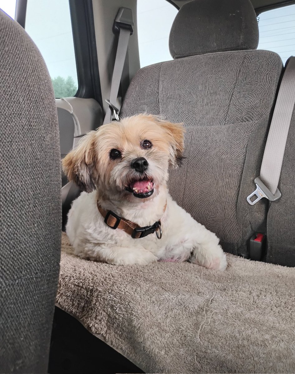 SkeeterBites77's tweet image. Tucker said to #SendThemBack.