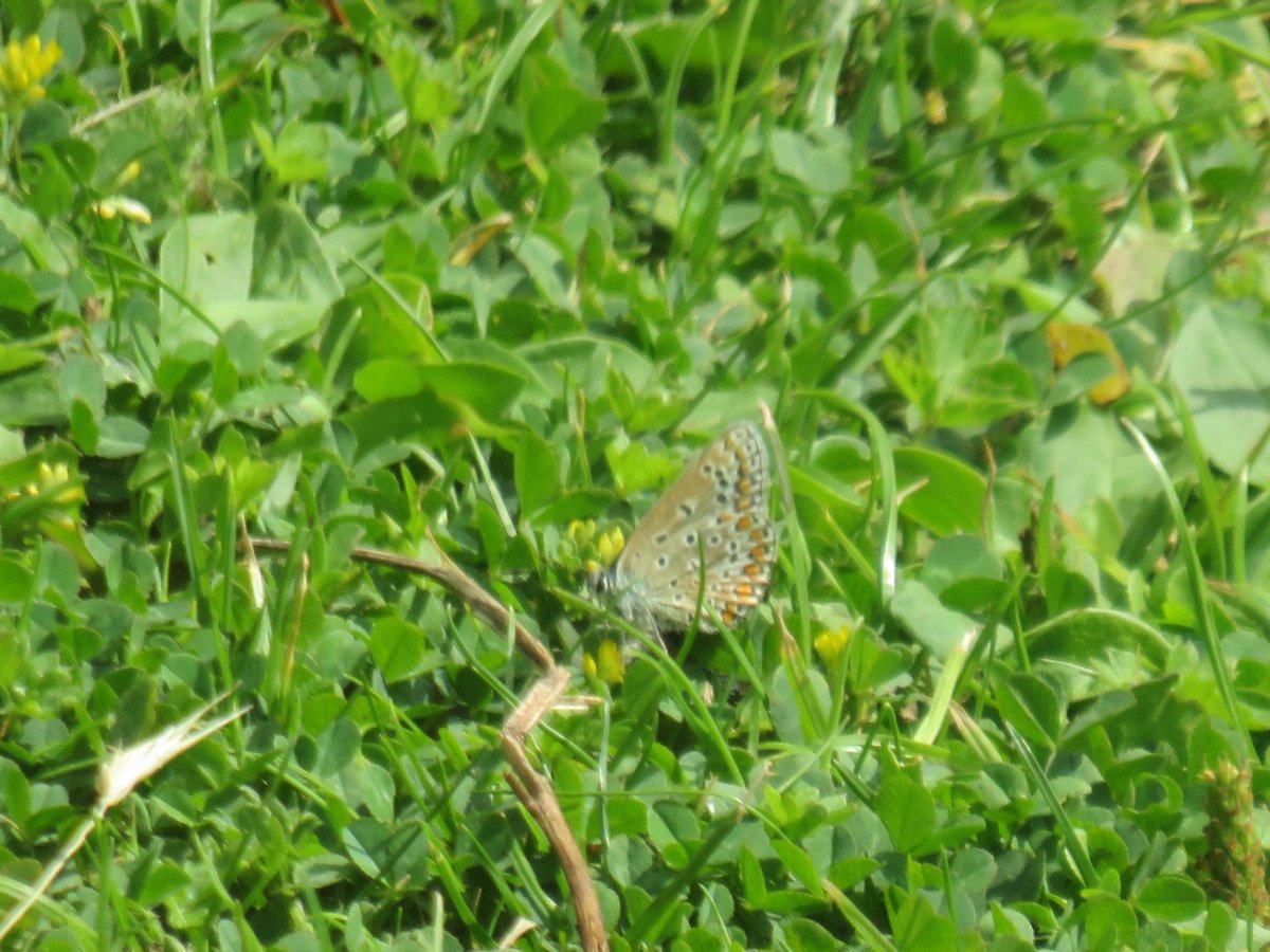 <a href="/BedsNthantsBC/">Beds and Northants BC</a>