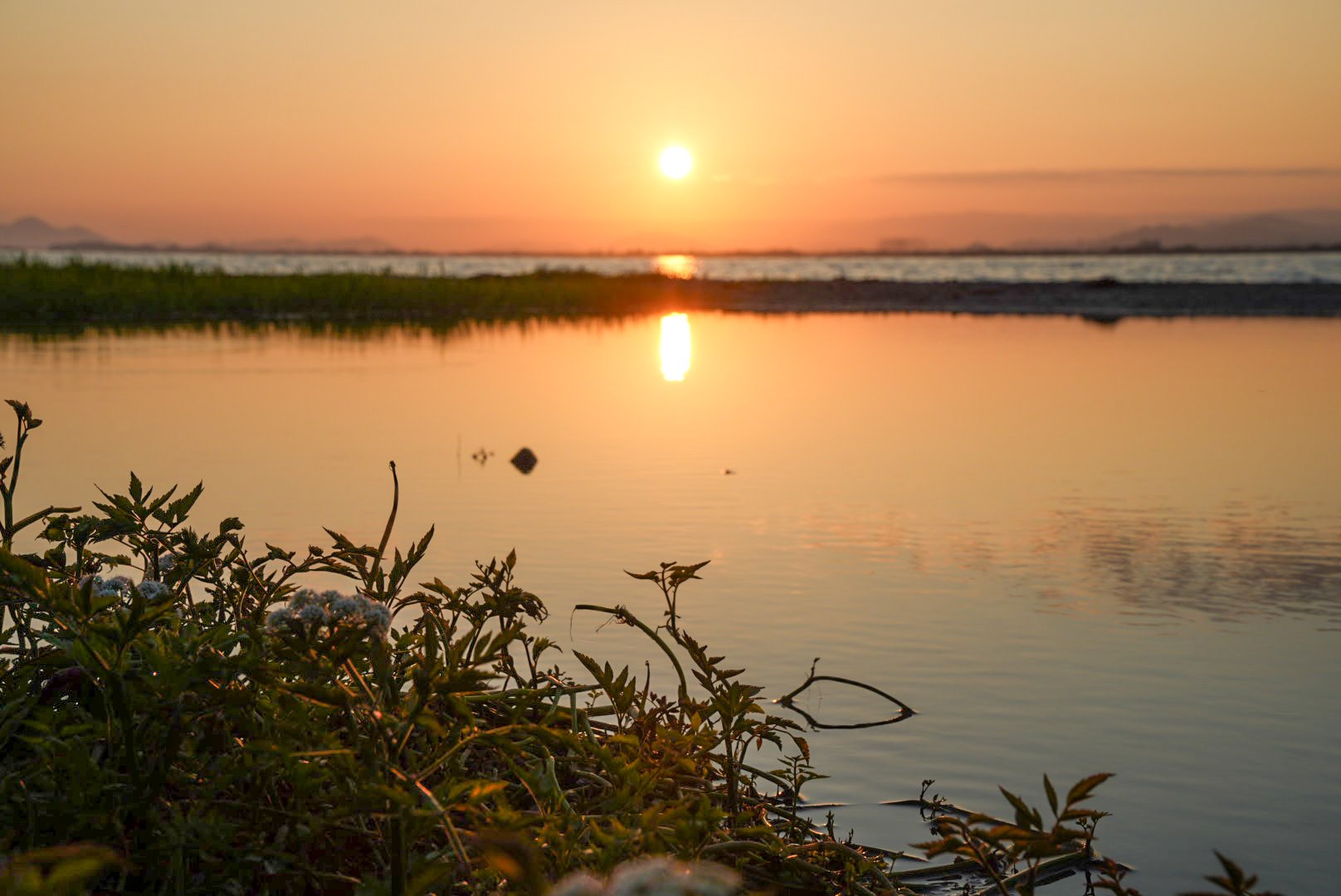 on⑹_【休日の朝.起きてすぐの景色】 早朝海岸風景・10月21日｜Cressonboy