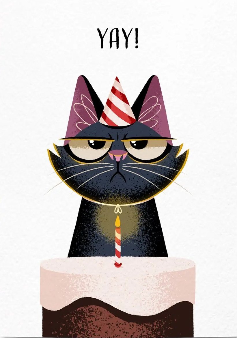 _Maeow_'s tweet photo. —— Bueno... Feliz cumpleaños.
Esta gata ya ha llegado a los 30 años.
#labida https://t.co/LIFiT9vj3U