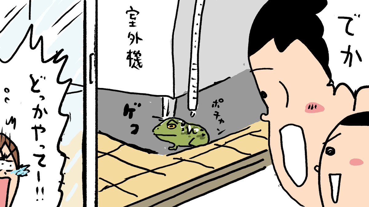 おはようございます!月曜日!
ベランダの室外機の排水ホースの下にどでかいカエルがいました!ビビったー!まる美は逃げていきましたwカエルも暑いの嫌だよねぇ💦少しだけ涼んでいってね🐸
では毎朝恒例の2025年194回目の朝点呼いくよ!いち! 