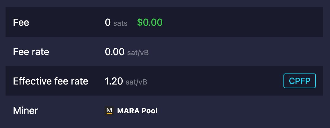 lifofifo ◉ tweet media