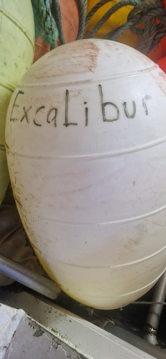 SkipperEditor's tweet photo. Any of our American or Canadian readers know of the fishing vessel Excalibur that could have lost this marker buoy?
Picked up off the South Coast of Ireland today by Brendan Dudley and Crew on the Harvest Reaper II
#fishing #usafishing #Ireland https://t.co/STsRfs7ad7