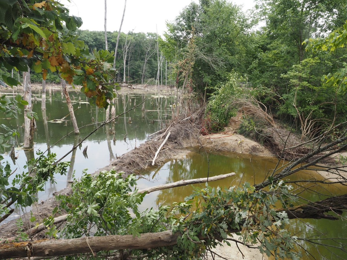 Clinton River Trail tweet media