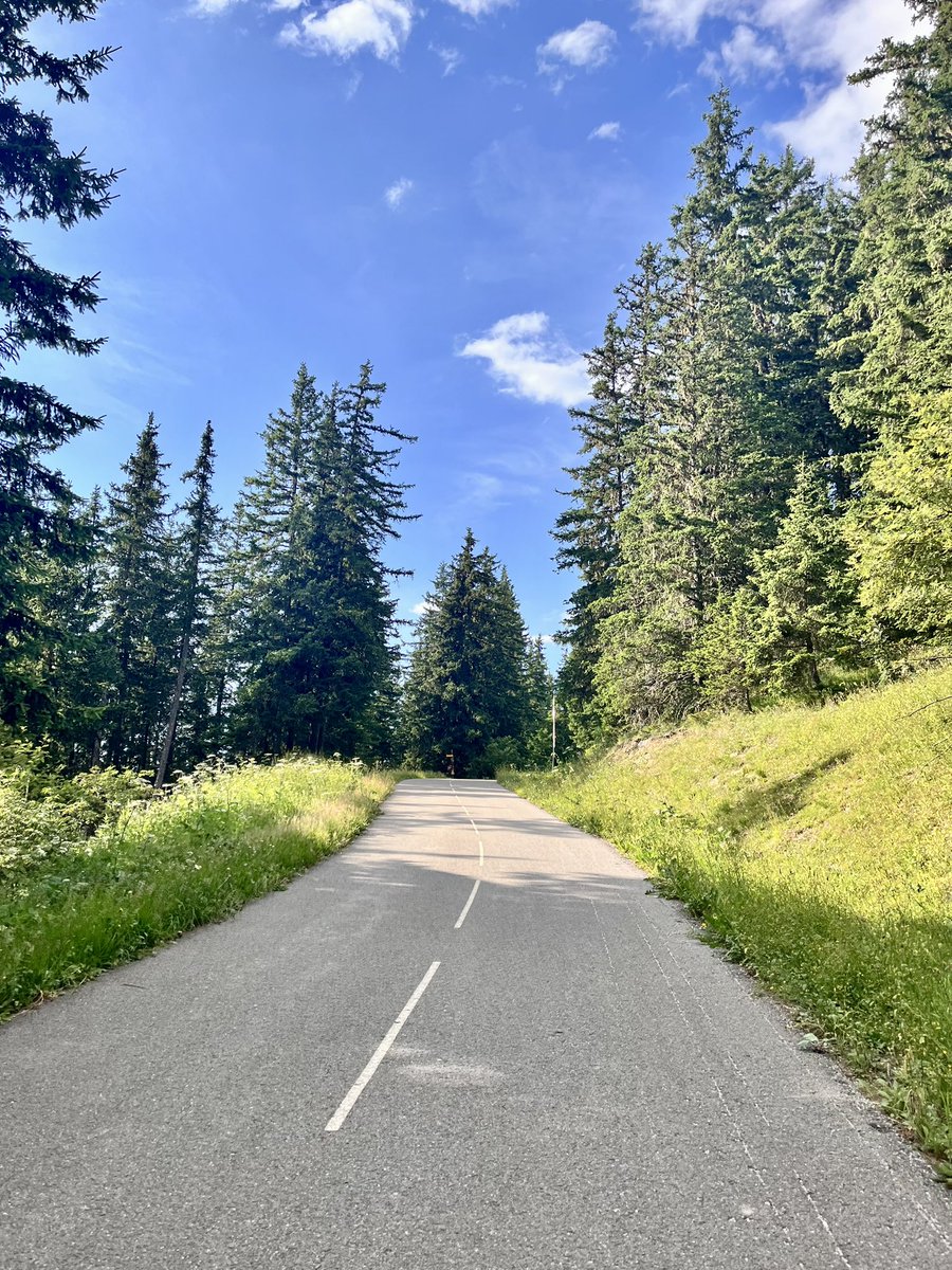 Toreya 🫵🏼 tweet media