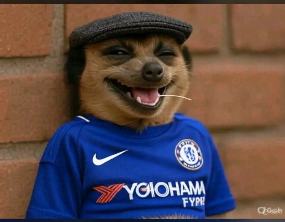 Chelsea watching you bet on PSG winning