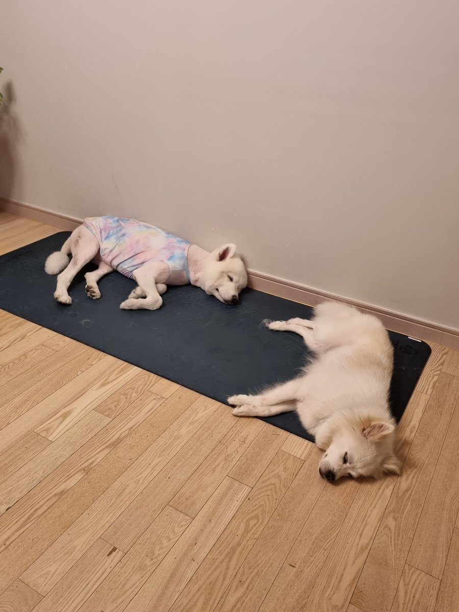 요가매트위에 모여있기는...