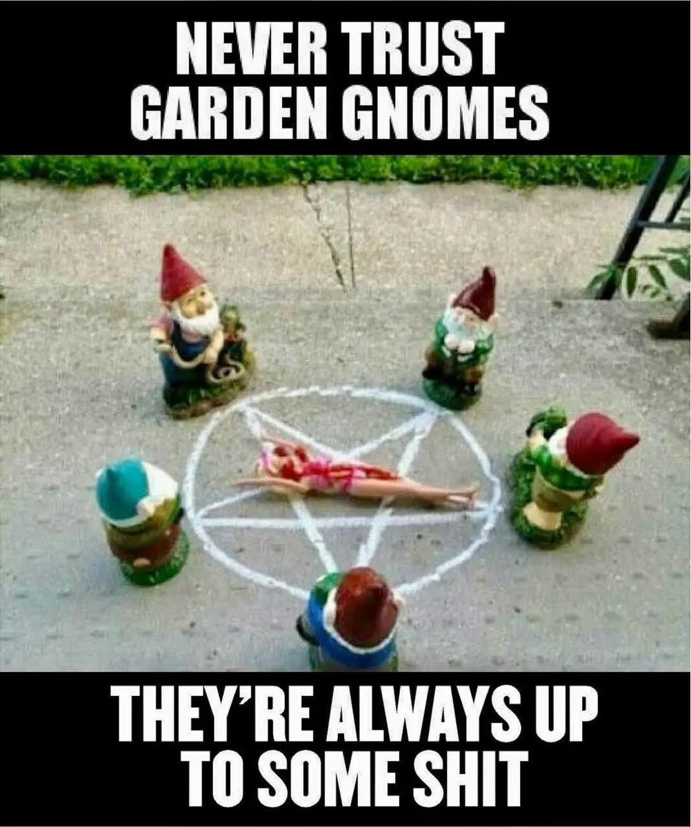 🤣🤣🤣