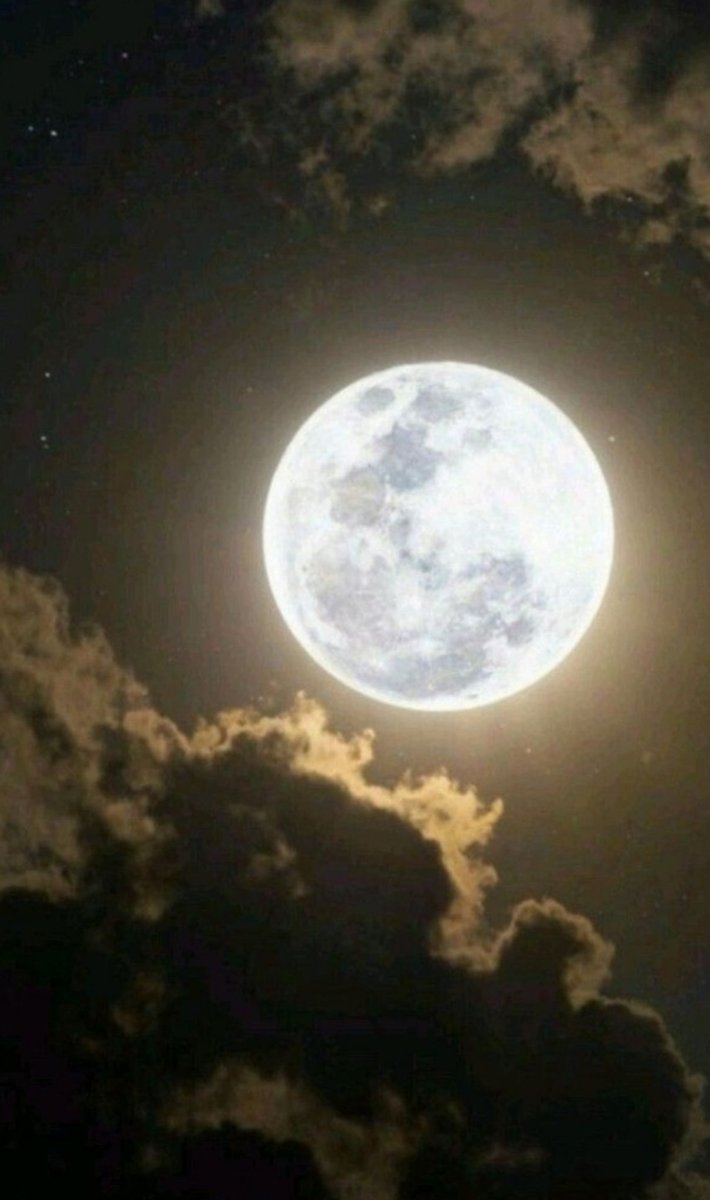 #قواعد

"قواعد السعادة الأربعة : 

1- لا تكره أحدا مهما أخطأ في حقك .. 
2- عش في بساطة مهما علا شأنك .. 
3- توقع خيرا مهما كثر البلاء .. 
4- أعطي الكثير حتى لو امتلكت القليل .."