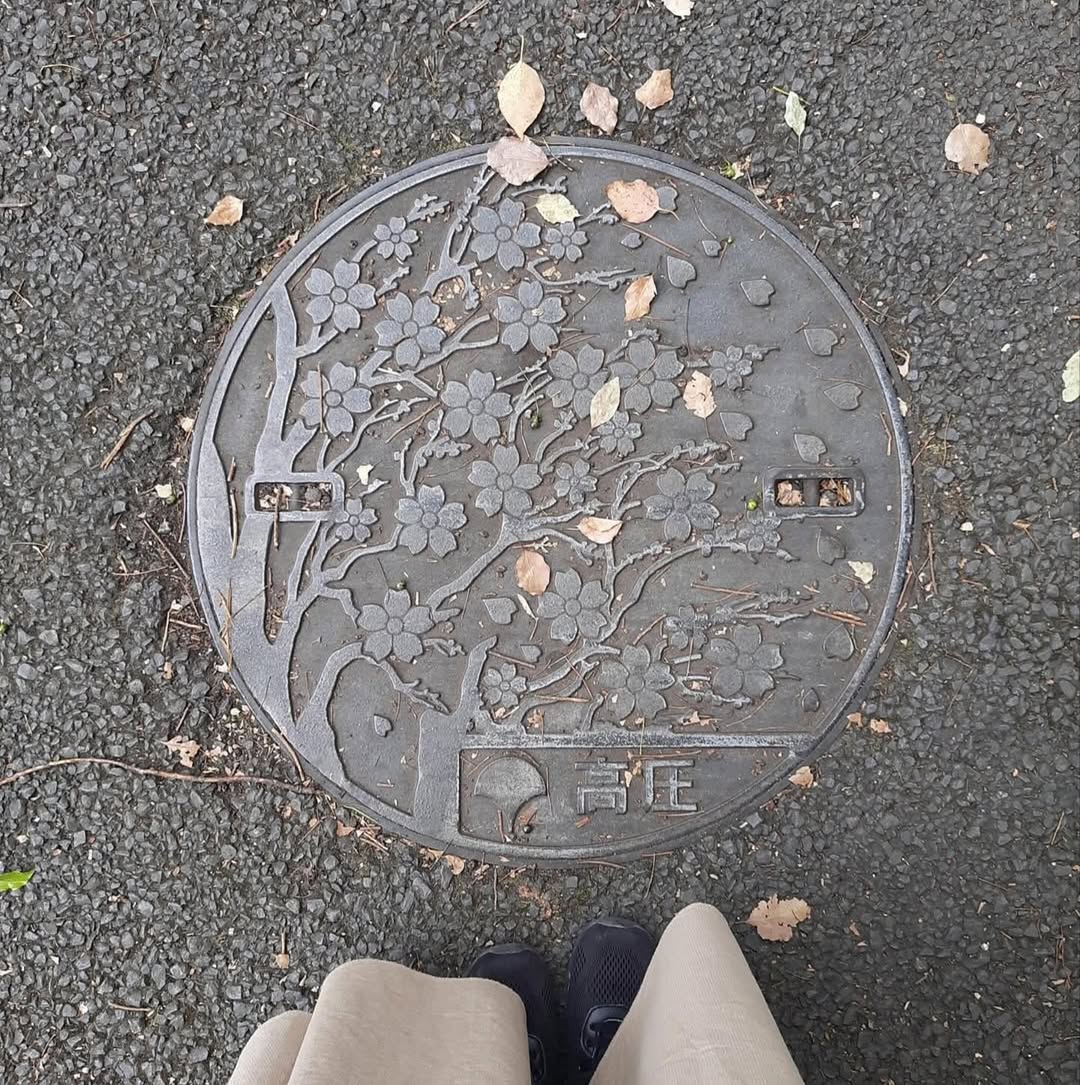 Manhole cover in Japan! why don’t our cities do stuff like this?