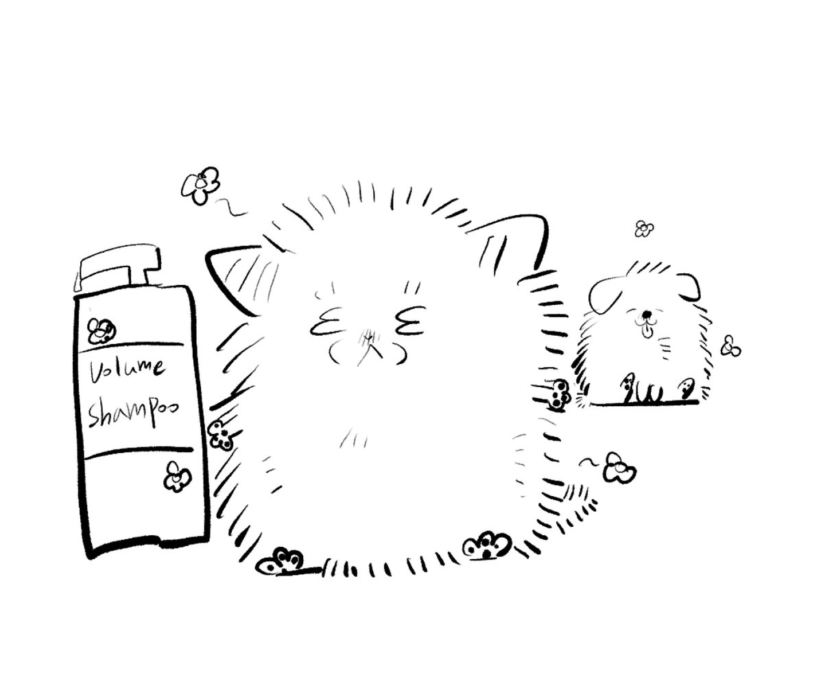 눈덩이는밤덩이 tweet media