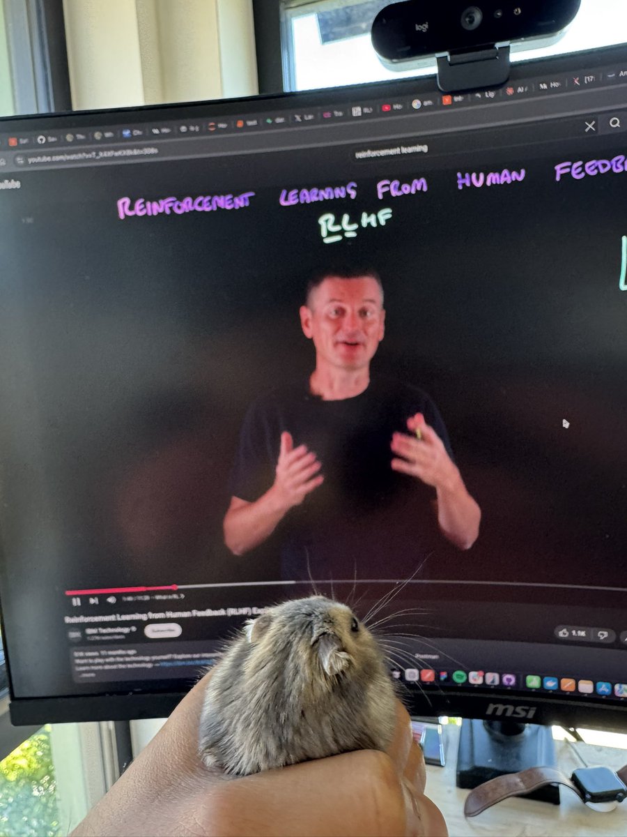 Training our hamster