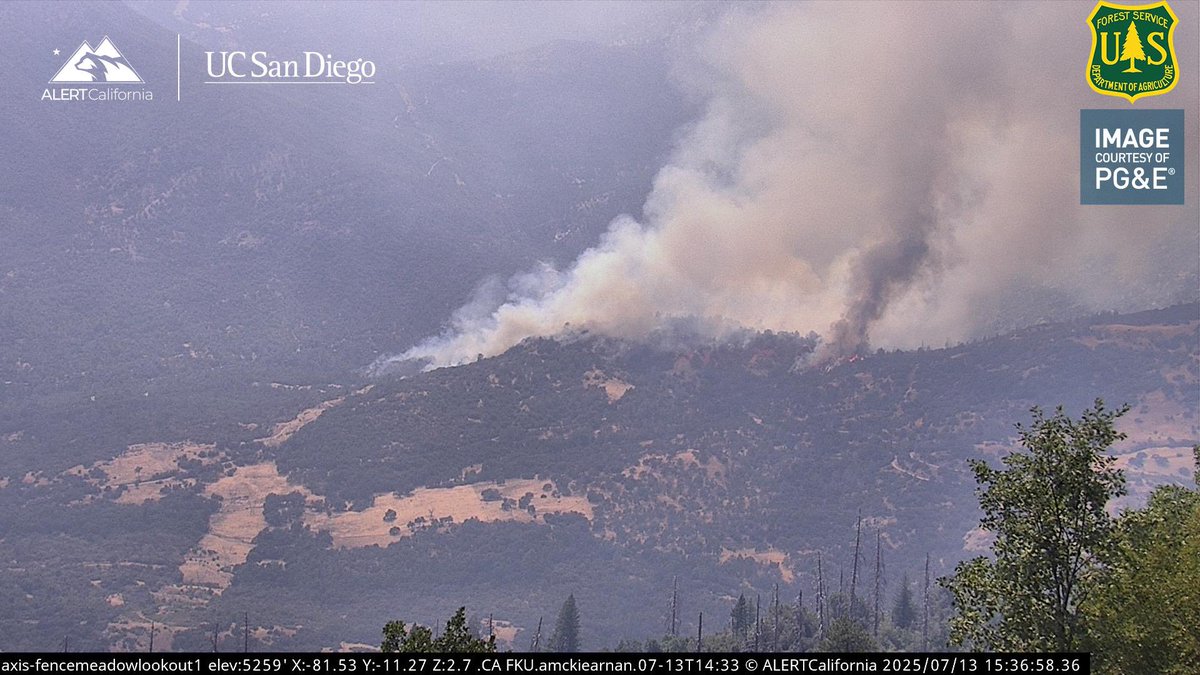sugarbearwx's tweet image. #maxfire  is spotting ahead of itself on the right flank, per incident command
100 plus acres per IC #cafire #wildfire