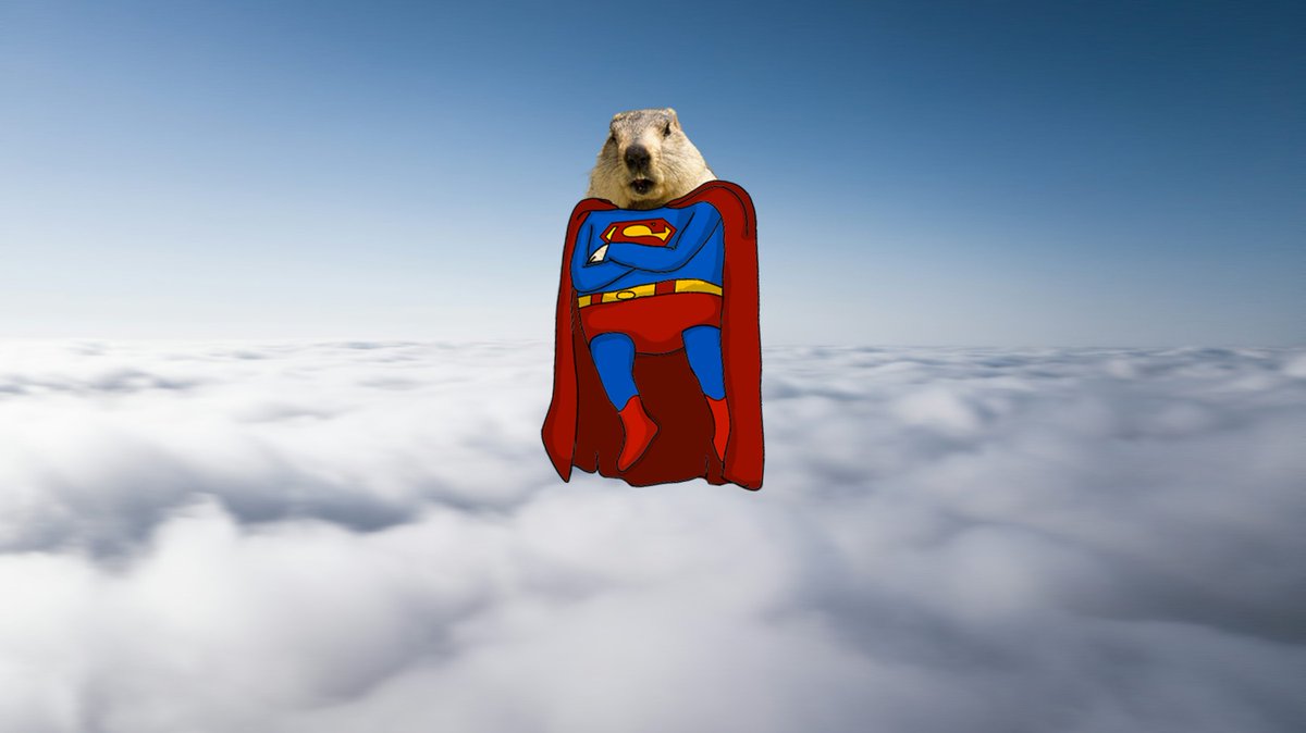 GroundhogMunch's tweet image. 空の上から、マーモットが私たちを見守っている。

From above the sky, Chubbles watches over us.🌫️