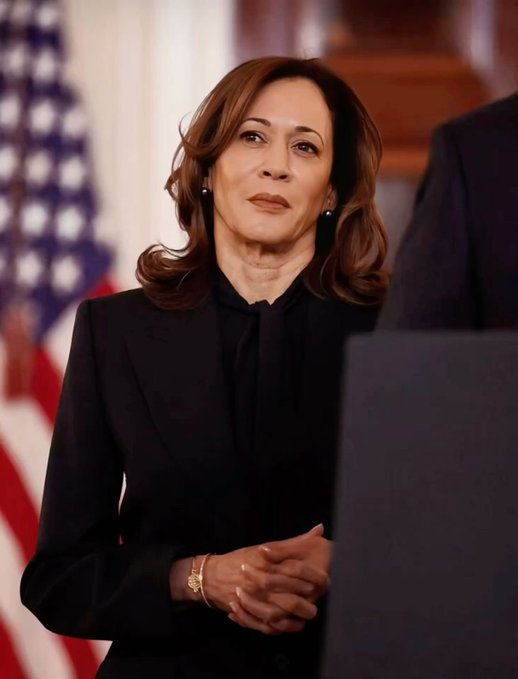 JCH0718's tweet image. If she would've just secured the border as border czar and stopped the mass-influx of migrants, she would be president today. What was she even thinking?