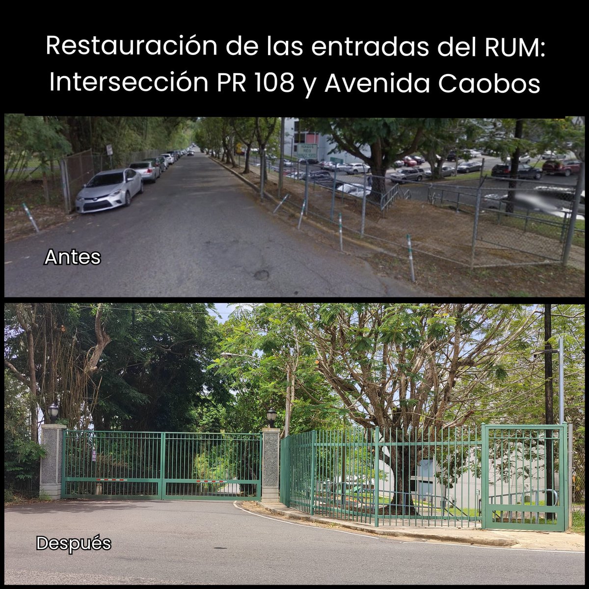 DECADMI UPRM (@decadmiu) on Twitter photo 