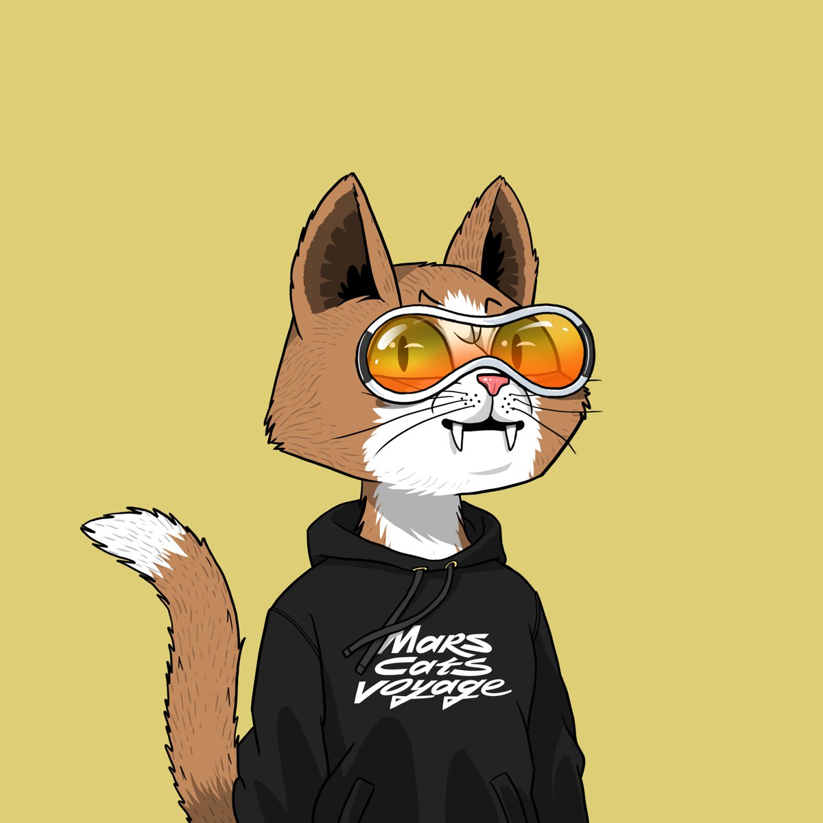 ClassicsCrypto's tweet image. Gn frens!

Next week things ramp up!