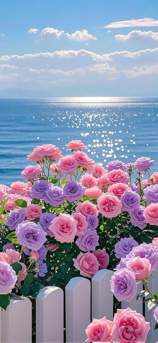 🪻🌸Have a great week everyone! 🌸🪻
Pinterest 📷