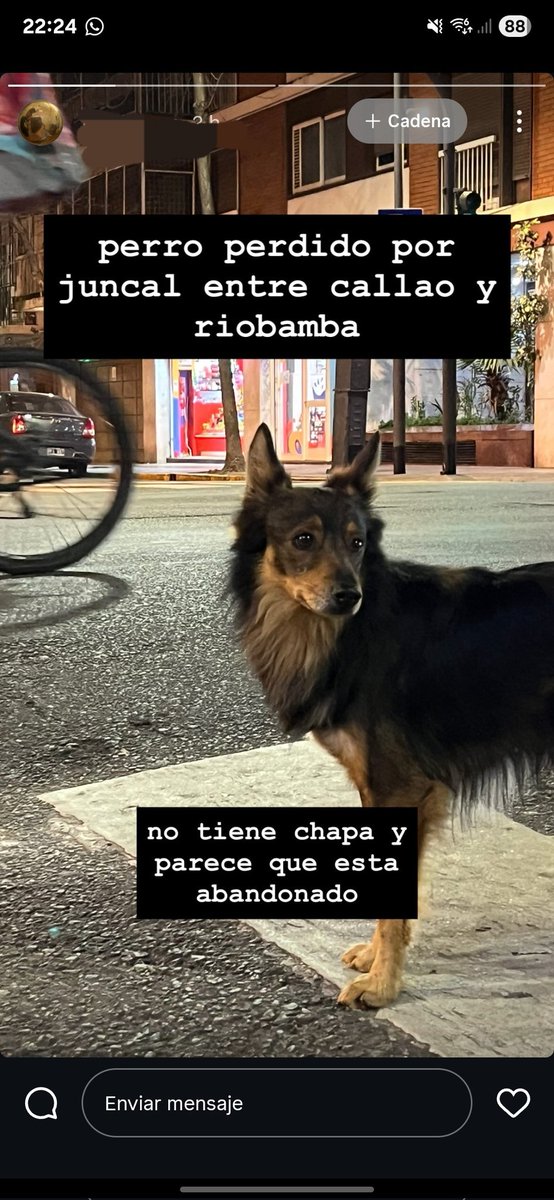 Gente, un amigo de mi hijo encontró este perrito en Juncal y Callao. A ver si aparece el dueño aca o si alguien puede darle tránsito o refugio hasta que aparezca porfa. <a href="/lagarzasosa_/">Puchi</a>