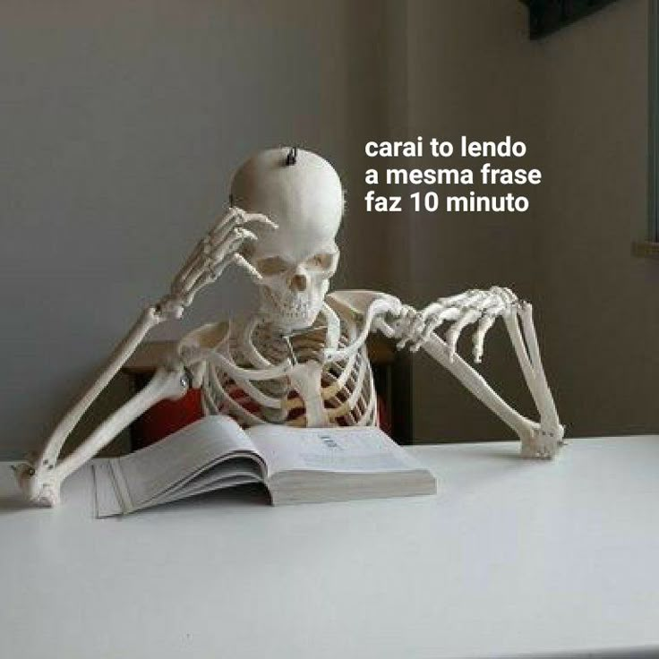 Terror do Cotidiano tweet media