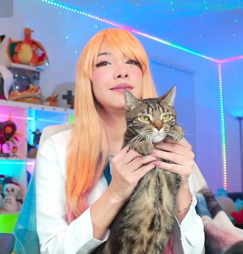 Bonita tarde 🫶🏻