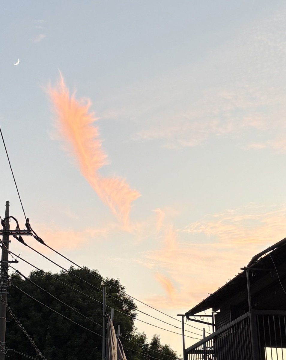 おはようございます☀

先日の帰り道 ふと空を見上げると珍しい雲が！
鳳凰の羽を模した様が美しくて思わず写真を撮ってしまいました🐦‍🔥

たまには上を向いて歩いてみるのも吉ですね✨

みなさまもどうぞ笑顔でご安全に🦺

#企業公式相互フォロー