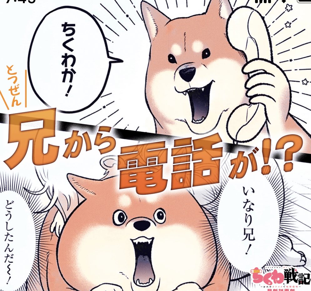 ちくわ戦記🐕🐩🦮🐕‍🦺最新話公開されました〜！ | ブブ さんのマンガ