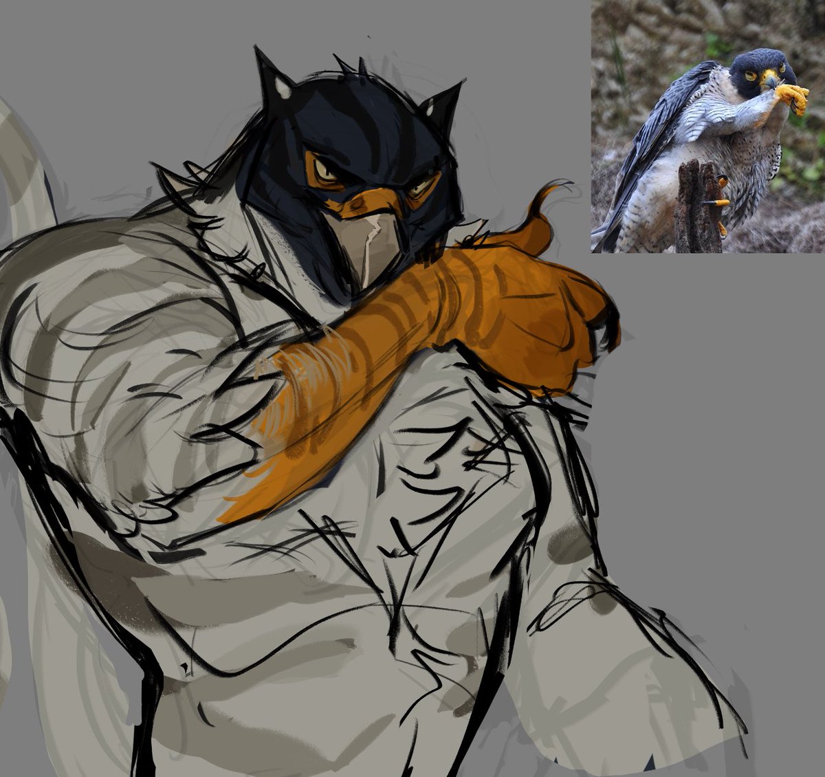 Don’t mess with him