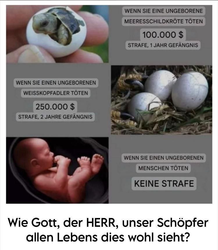 Dr. Bodo Schiffmann (@boschimodr) on Twitter photo  Dr. Bodo Schiffmann (@boschimodr) on Twitter photo