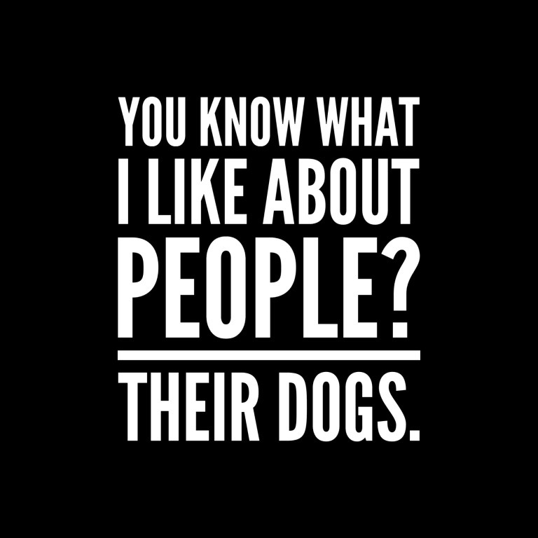 cailleach_feasa's tweet image. 👇