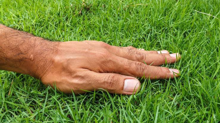 #openseatouchgrass