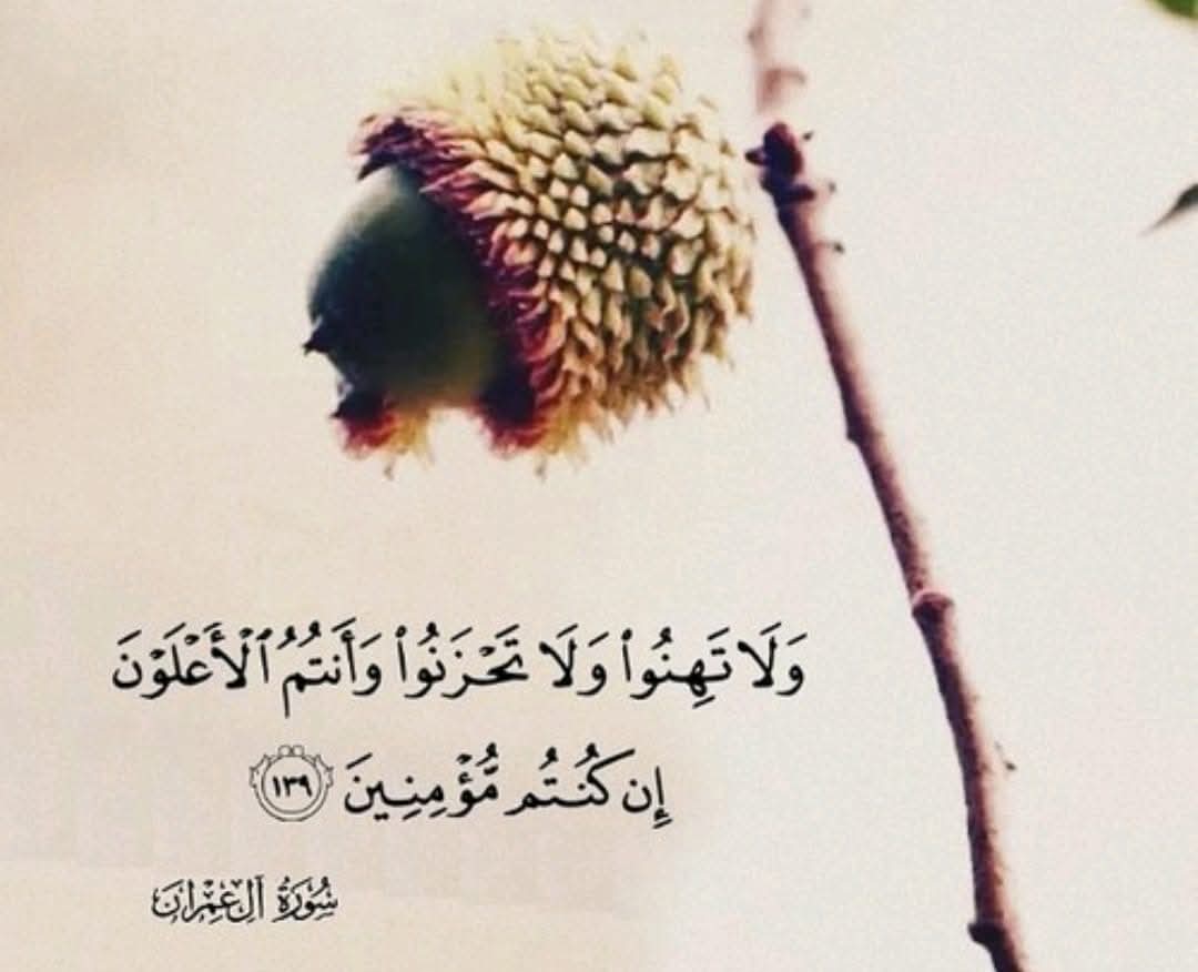 النجمStar (@1sta3d) on Twitter photo 