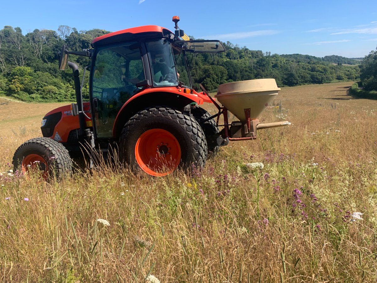 kentdowns6's tweet image. This year's program of wildflower seed /green hay spreading gets off to start combine harvesting of yellow rattle from 20 yr old sites (for cleaner sample) & then taken to be spread on newly developing grasslands with fertiliser spreader. Farmers leading nature recovery at scale
