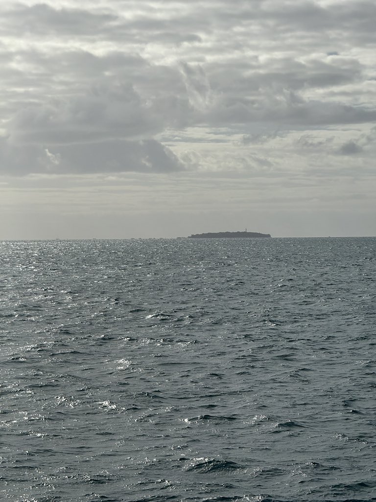 TheGoonersPod's tweet image. anyone else cruising out to the great barrier reef with 30 strangers and clogged the one toilet on the boat within the first 10 min?
Asking for a friend. A friend who had a bacon roll and a monster zero right before getting on the boat.