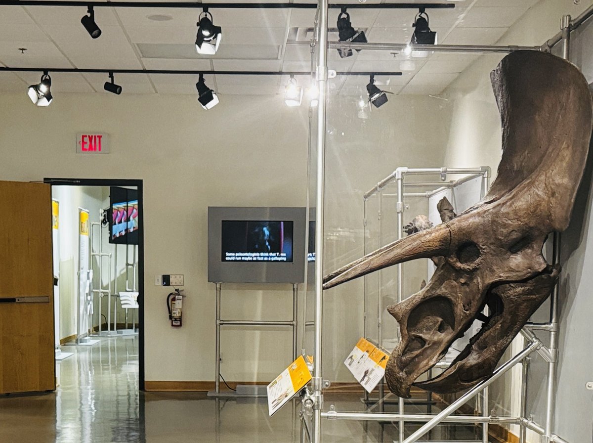 Dinos &amp; Dinner with a View 🦕🍽️
From fossil finds at Grey Roots &amp; strolls through Moreston Village to lavender fields, live music &amp; local bites at Flavours of South Bruce—today was one for the books! 💜
#SummerCruiser #DiscoverON